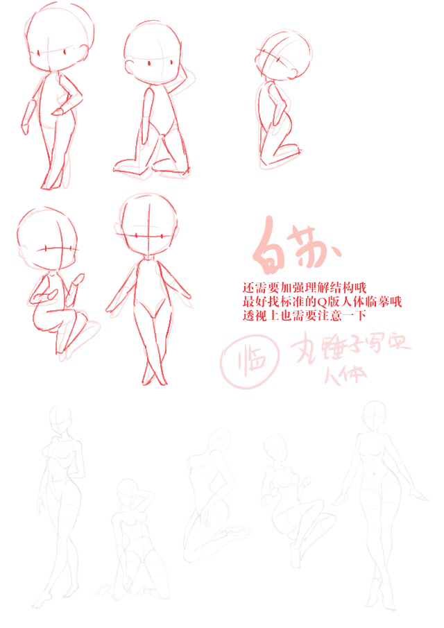 白苏.jpg