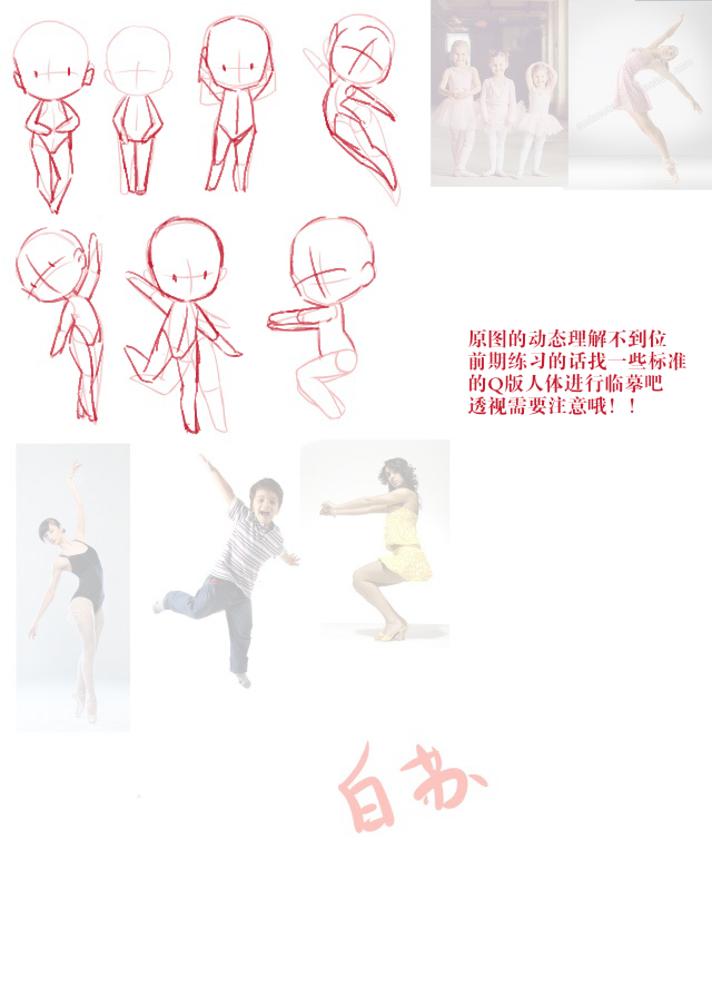 白苏1.jpg