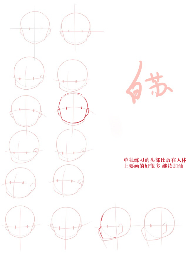 白苏2.jpg