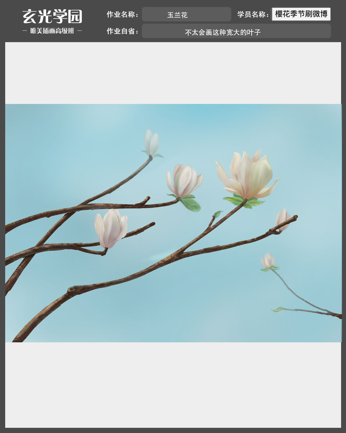 玉兰花.jpg