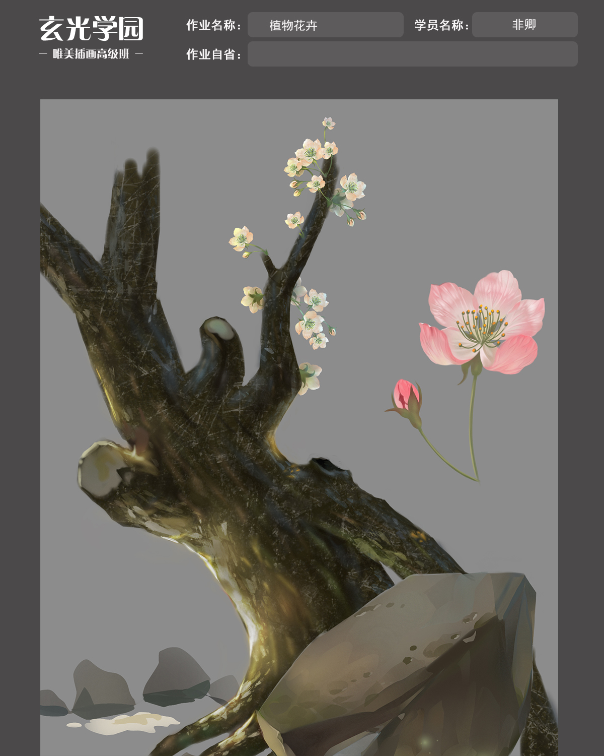 植物花卉.jpg