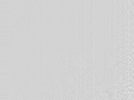 清桉的作业