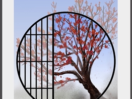 海罗的作业
